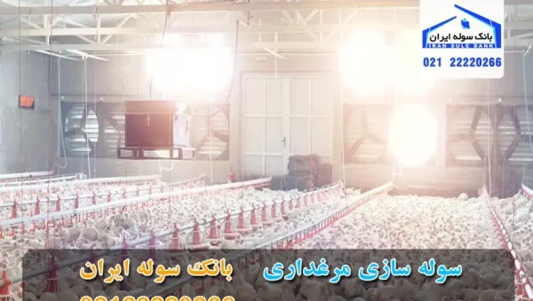 sakhtmotghdari-souleiran-com ساخت مرغداری در سوله ایران