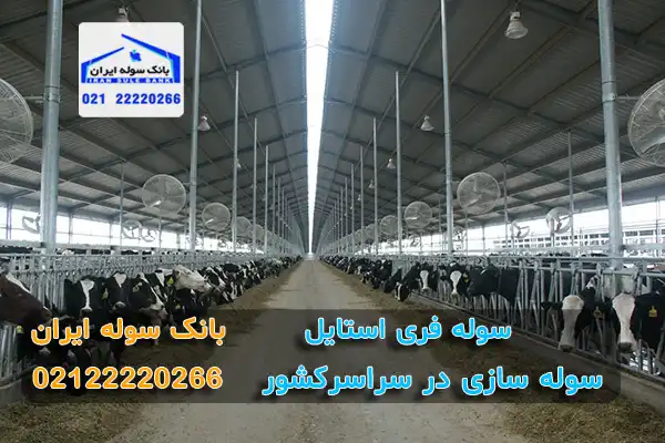 سوله فری استایل