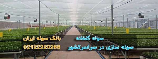نمای داخلی سوله گلخانه ای