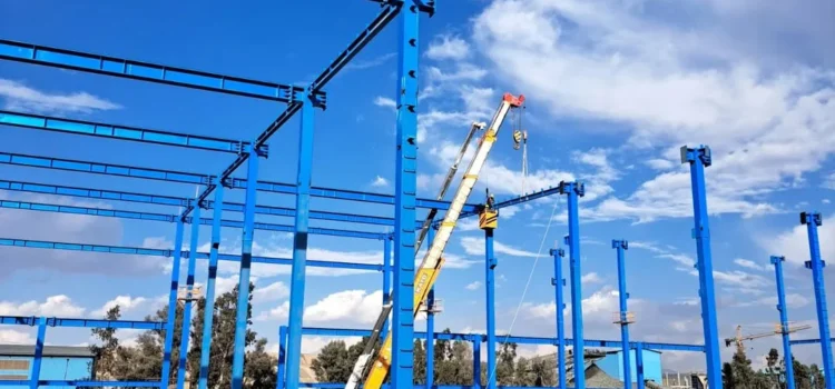Shed construction contractor (2)